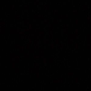 Meet your Posher, Vernester